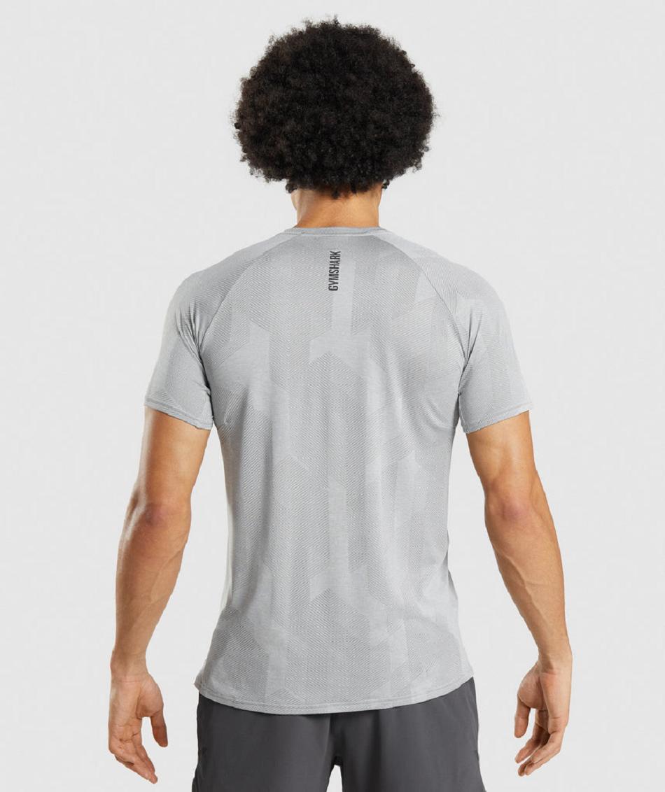 T Shirts Męskie Gymshark Apex Szare Głęboka Szare | PL 3871AHK